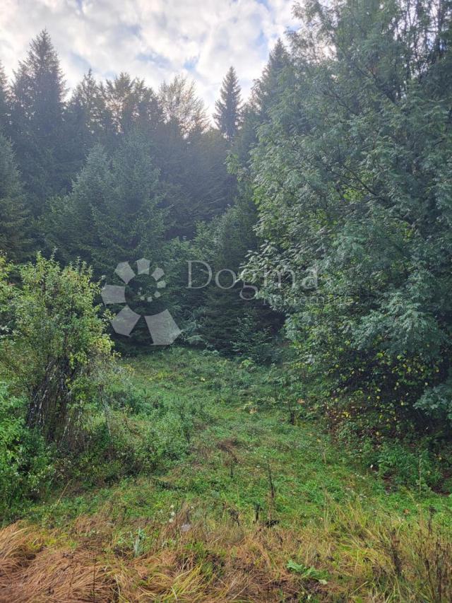 Grundstück Stara Sušica, Ravna Gora, 6.600m2