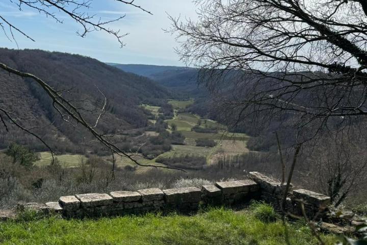 Tinjan okolica, prekrasna renovirana vila u srcu Istre