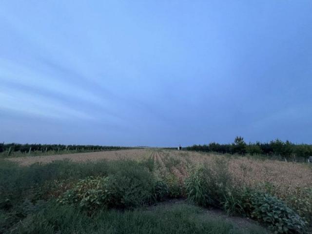 Građevinski plac između Temerina i Bačkog Jarka!