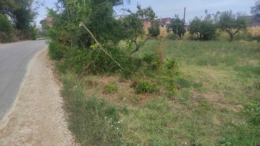 Veoma atraktivan veliki plac za izgradnju kuće u Jagodini na putu Trnava Vinorača