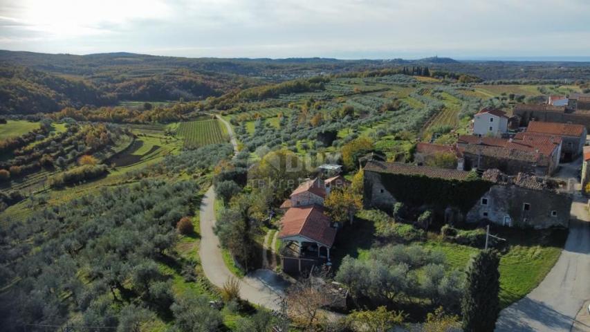 ISTRA, MOMJAN - Jedinstveno imanje na prekrasnoj lokaciji s pogledom