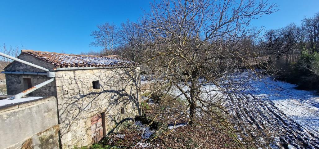 ISTRA, PIĆAN - Kamena kućica s građevinskim zemljištem 