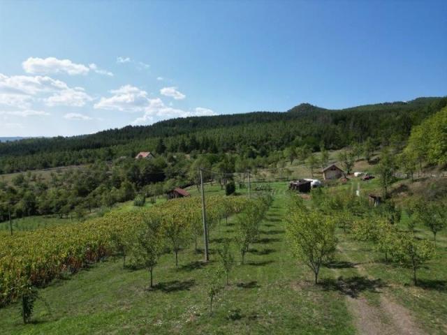 Prodaje se polj. gazdinstvo sa 3 objekta , 11, 92 ha, Taševo, Prijepolje