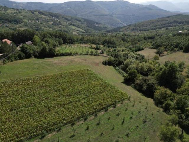 Prodaje se polj. gazdinstvo sa 3 objekta , 11, 92 ha, Taševo, Prijepolje