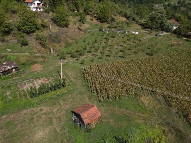 Prodaje se polj. gazdinstvo sa 3 objekta , 11, 92 ha, Taševo, Prijepolje