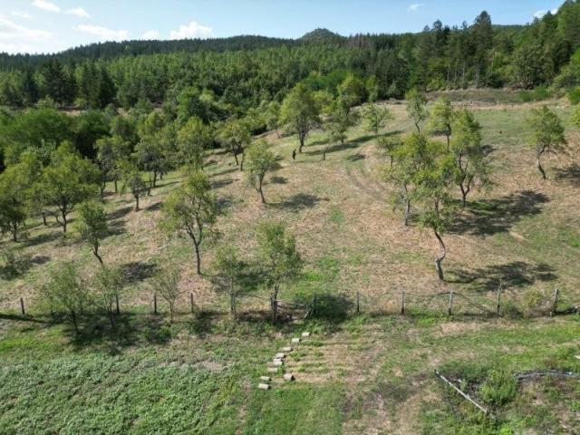 Prodaje se polj. gazdinstvo sa 3 objekta , 11, 92 ha, Taševo, Prijepolje