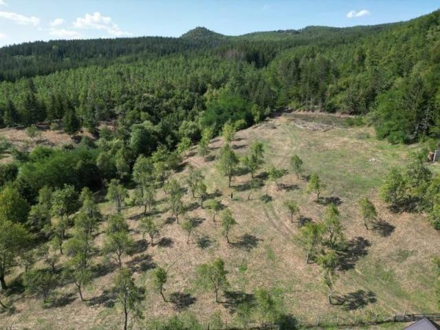 Prodaje se polj. gazdinstvo sa 3 objekta , 11, 92 ha, Taševo, Prijepolje