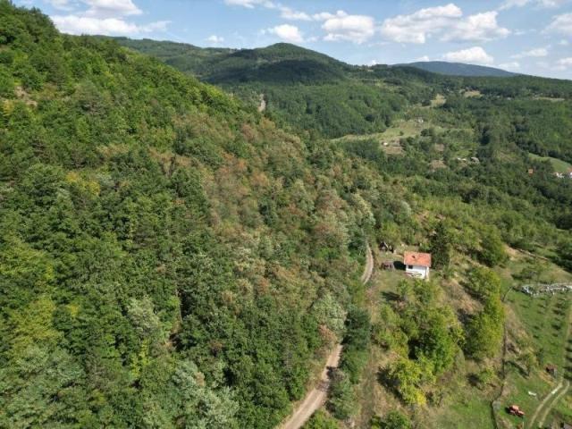 Prodaje se polj. gazdinstvo sa 3 objekta , 11, 92 ha, Taševo, Prijepolje