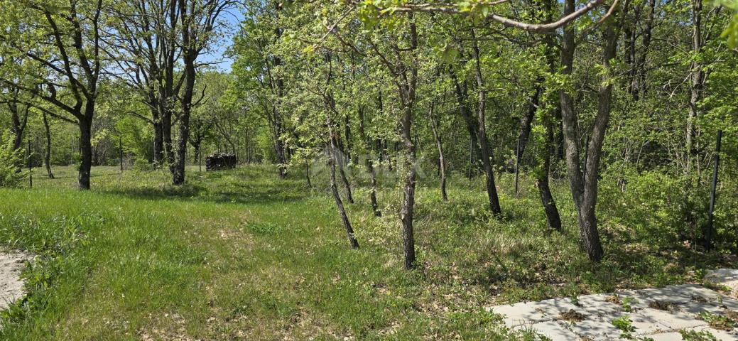 ISTRIA, MOTOVUN, SURROUNDINGS - Beautiful villa in front of a green zone with a panoramic view and c