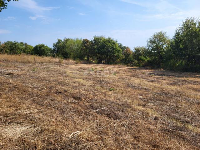 ISTRIA, MARČANA - Building and agricultural land