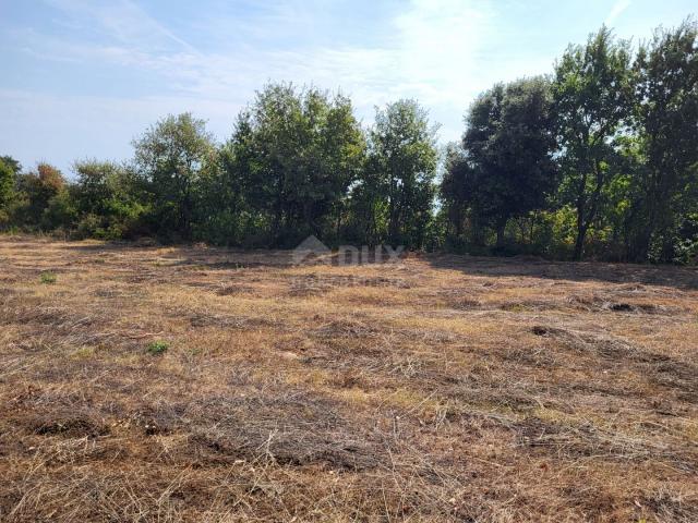 ISTRIA, MARČANA - Building and agricultural land