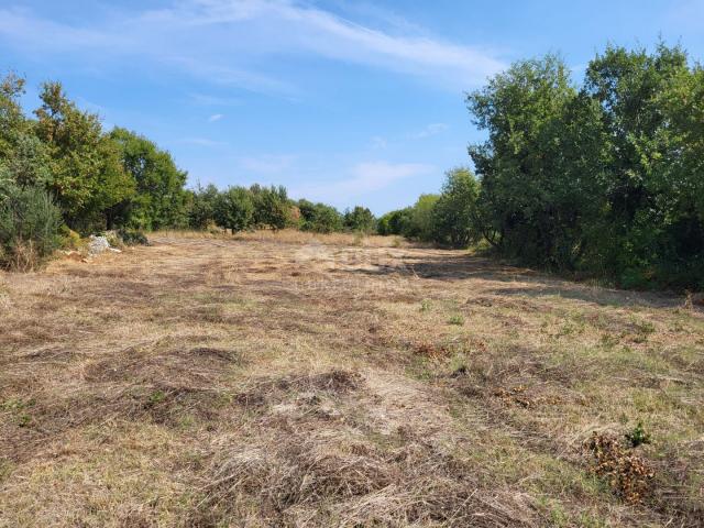 ISTRIA, MARČANA - Building and agricultural land