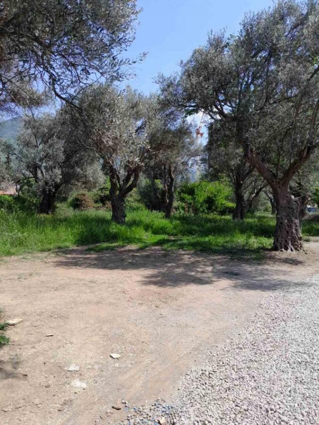 Land for Sale 503 m2, Bar, Great Location