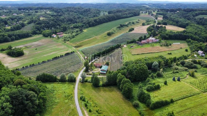 Prodaja, Sv. Ivan Zelina, Radoišće, imanje sa kućom i gosp. objektom