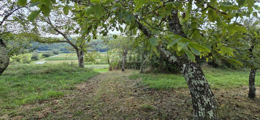 ISTRA, CEROVLJE - Zemljište s ruševnim objektom