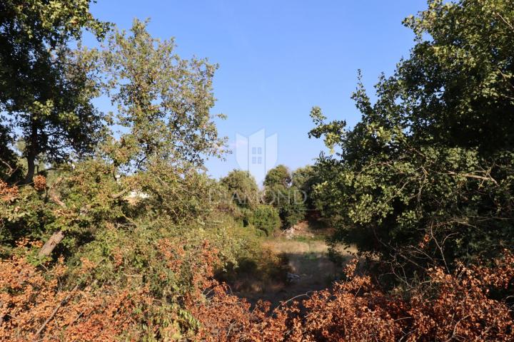 Baugrundstück in einem Dorf in der Nähe von Bale