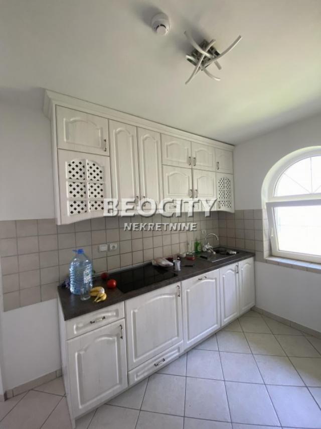 Novi Sad, Lipov Gaj, , 5. 0, 225m2, 1600EUR