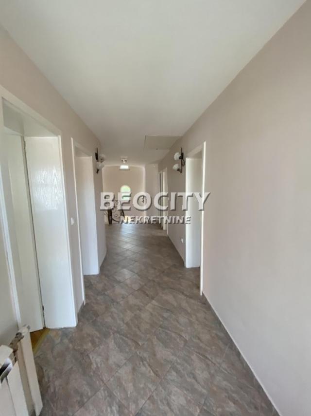 Novi Sad, Lipov Gaj, , 5. 0, 225m2, 1600EUR