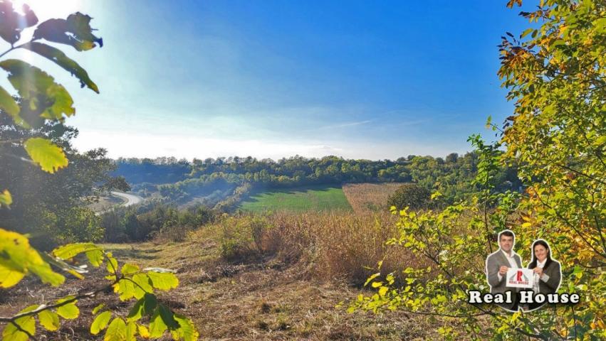 Hektar građevinskog zemljista i kuca na Fruskoj gori-Rivica