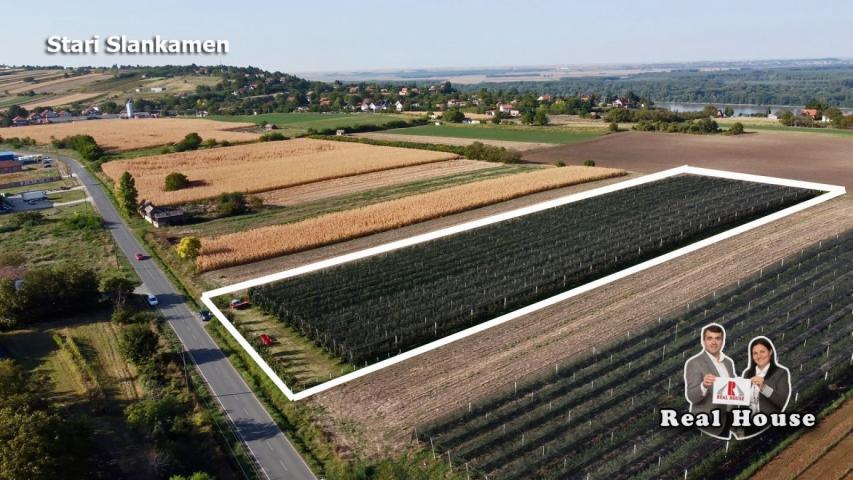 Hektar zemljista na glavno putu u Slankamenu za razne namene