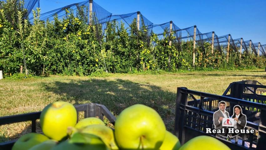 Hektar zemljista na glavno putu u Slankamenu za razne namene