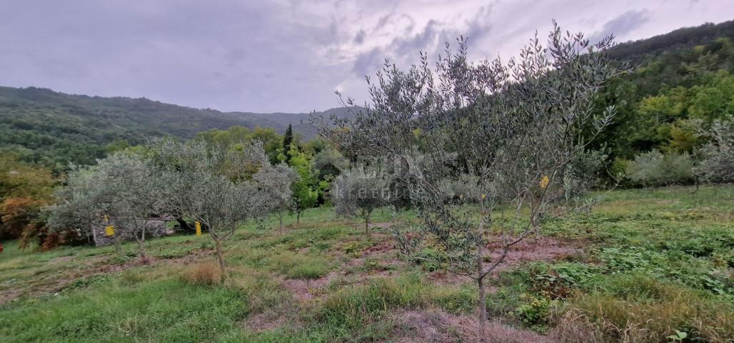 ISTRA, GRAČIŠĆE - Kameni objekti s prostranim zemljištem na osami