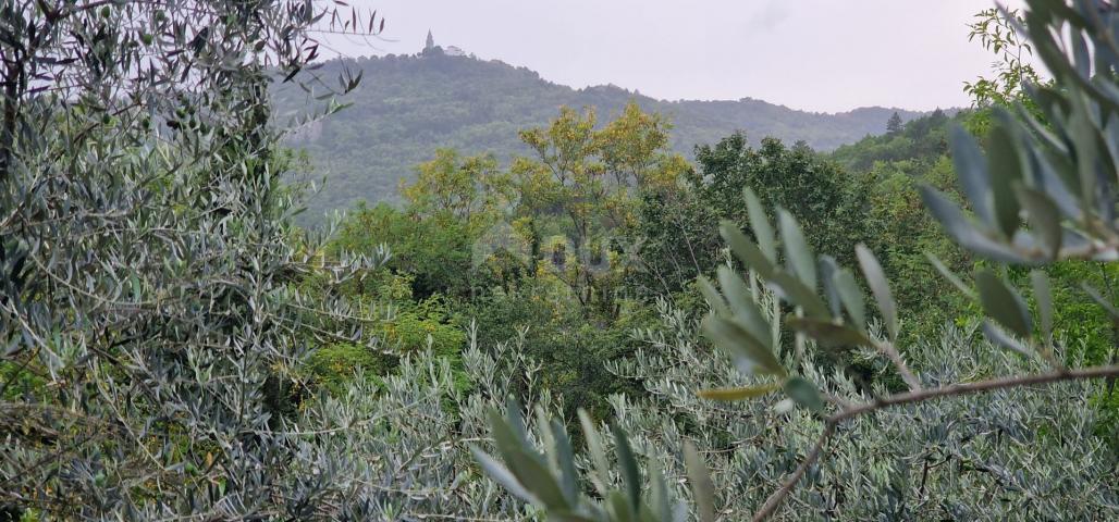 ISTRA, GRAČIŠĆE - Kameni objekti s prostranim zemljištem na osami