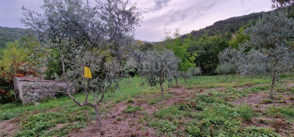 ISTRA, GRAČIŠĆE - Kameni objekti s prostranim zemljištem na osami