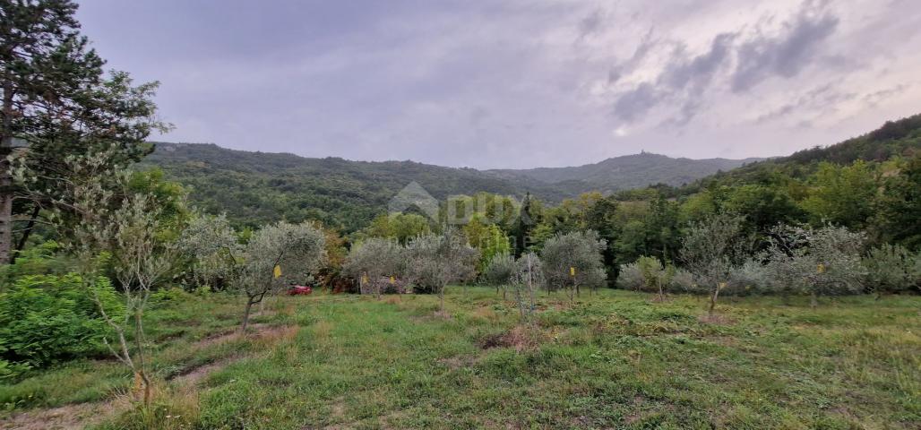 ISTRA, GRAČIŠĆE - Kompleks zemljišta s objektima i prekrasnim pogledom