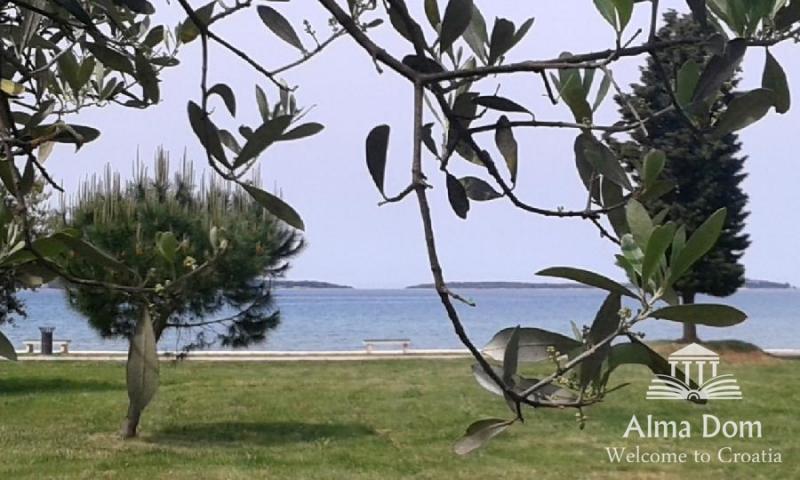 Haus ZENTRUM, nah am Meer und Strand.