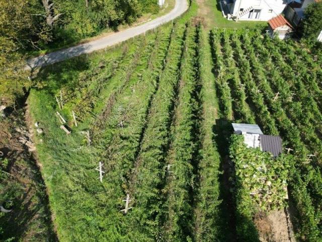 Prodaje se građevinsko zemljište 1936 m2, Vinicka, Prijepolje