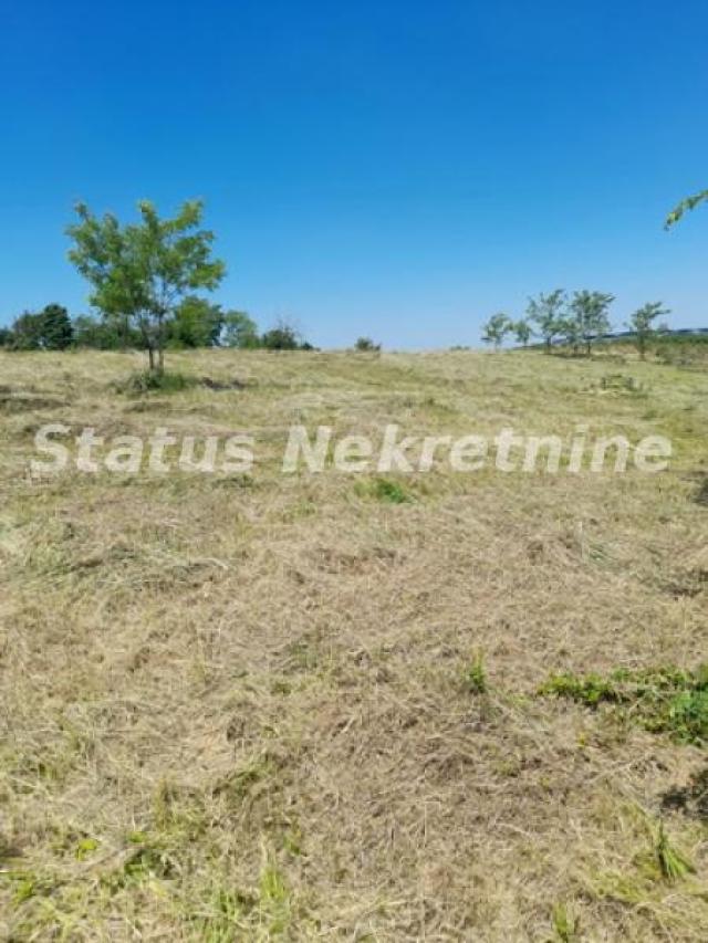 Petrovaradin-Građevinski Plac 6465 m2 na vrhu Alibegovca za Hotele ili Sportske sadržaje-065/385 888