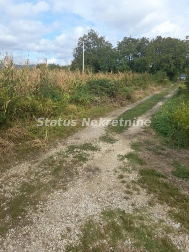 Vrdnik-Jazak-Velika Parcela 10800 m2 za kupce sa Posebnim stilom života sa Pogledom na pola Srema-06