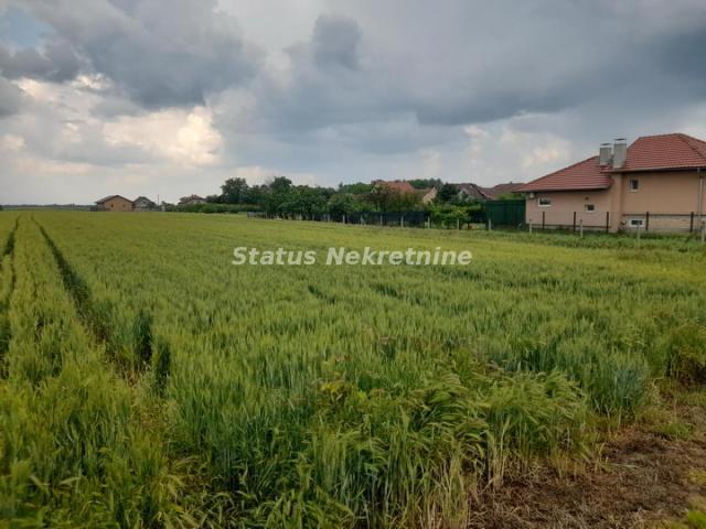 Futog-Odličan Građevinski plac 686 m2 u Novom Futogu-065/385 8880