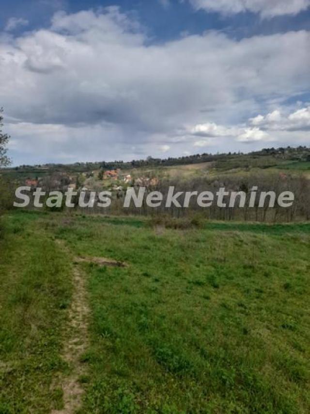 Ledinci-Lep Plac 1600 m2 u Poželjnom zelenom kraju-065/385 8880