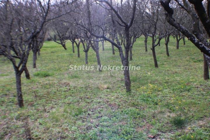 Banstol-*Super Povoljno*-Veliki Građevinski Plac 2165 m2 u Zelenoj Oazi sa bezplatnom strujom-065/38