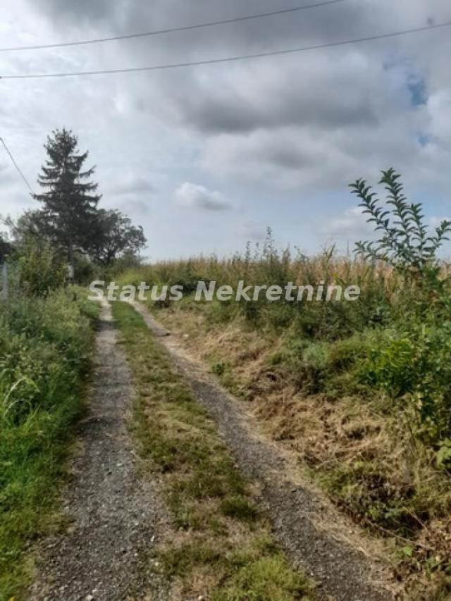 Vrdnik-Jazak-Velika Parcela 10800 m2 za kupce sa Posebnim stilom života sa Pogledom na pola Srema-06