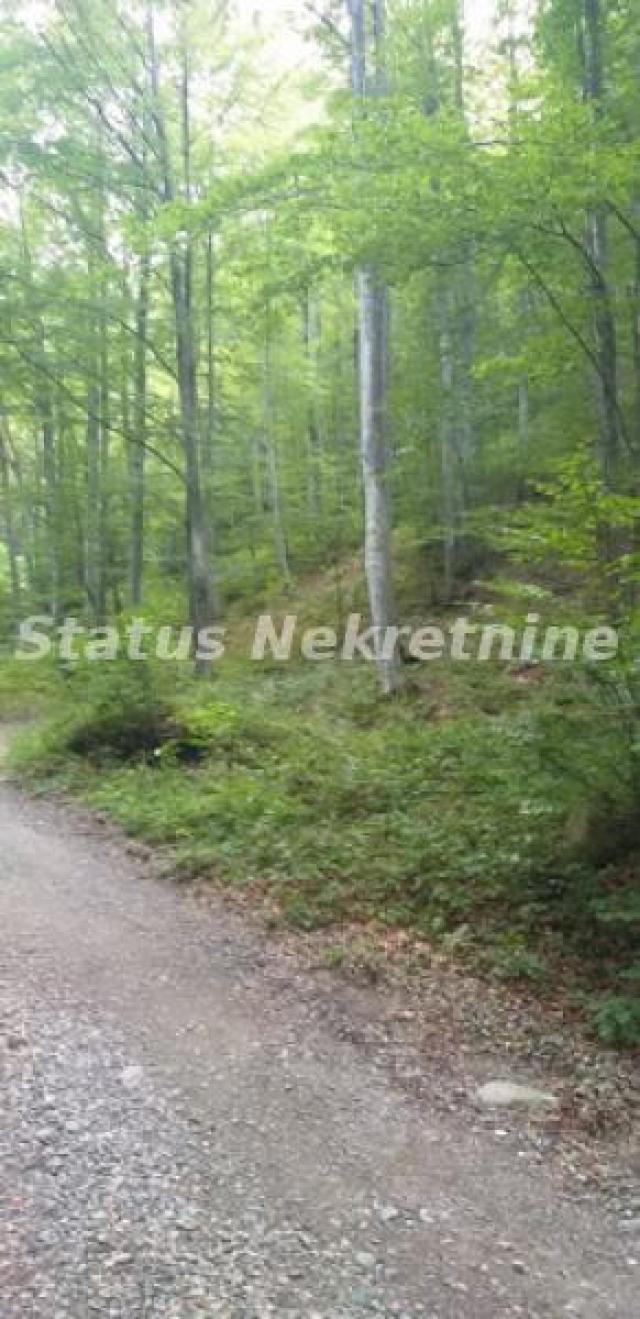 Kopaonik-Velika Građevinska Parcela 18420 m2 za Biznis-065/385 8880