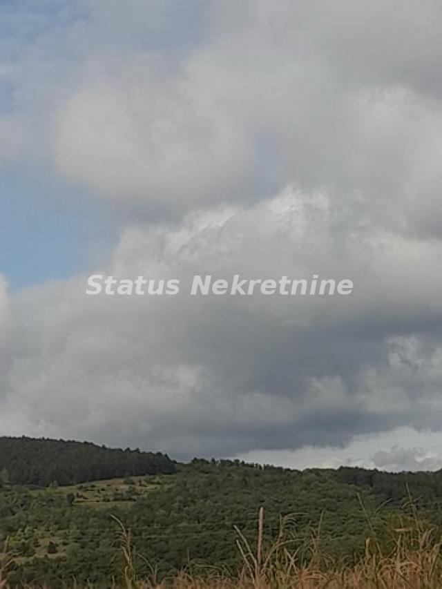 Vrdnik-Jazak-Velika Parcela 10800 m2 za kupce sa Posebnim stilom života sa Pogledom na pola Srema-06