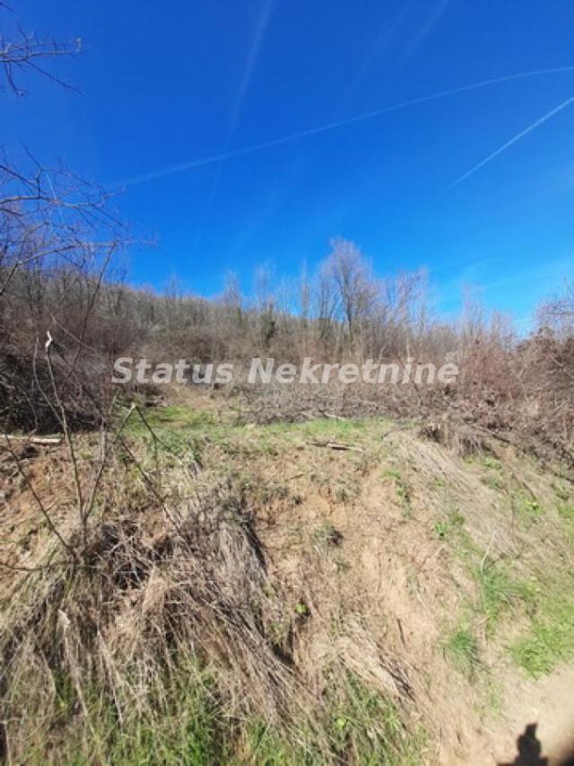 Sremski Karlovci-Fantastičan osunčan plac 7025 m2 za Vinograd i sa pogledom-065/385 8880