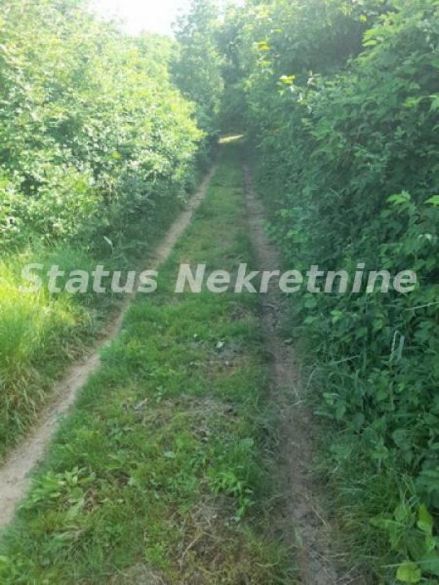 Sremski Karlovci-Lep Građevinski Plac 989 m2 na Stražilovo gde priroda ljubi nebo-065/385 8880