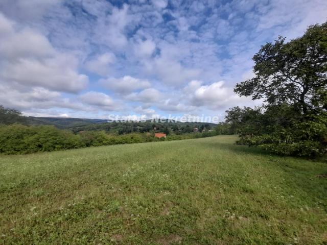 Vrdnik-Jazak-Velika Parcela 10800 m2 za kupce sa Posebnim stilom života sa Pogledom na pola Srema-06