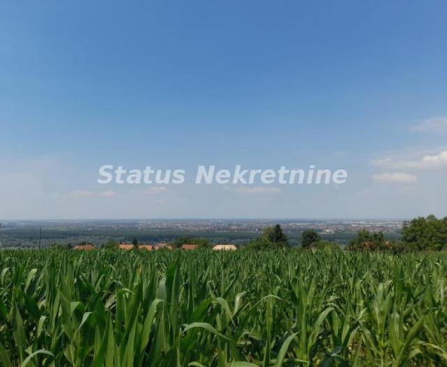 Rakovac-Vasionski Građevinski Plac 6580 m2 na Salaksijama-065/385 8880