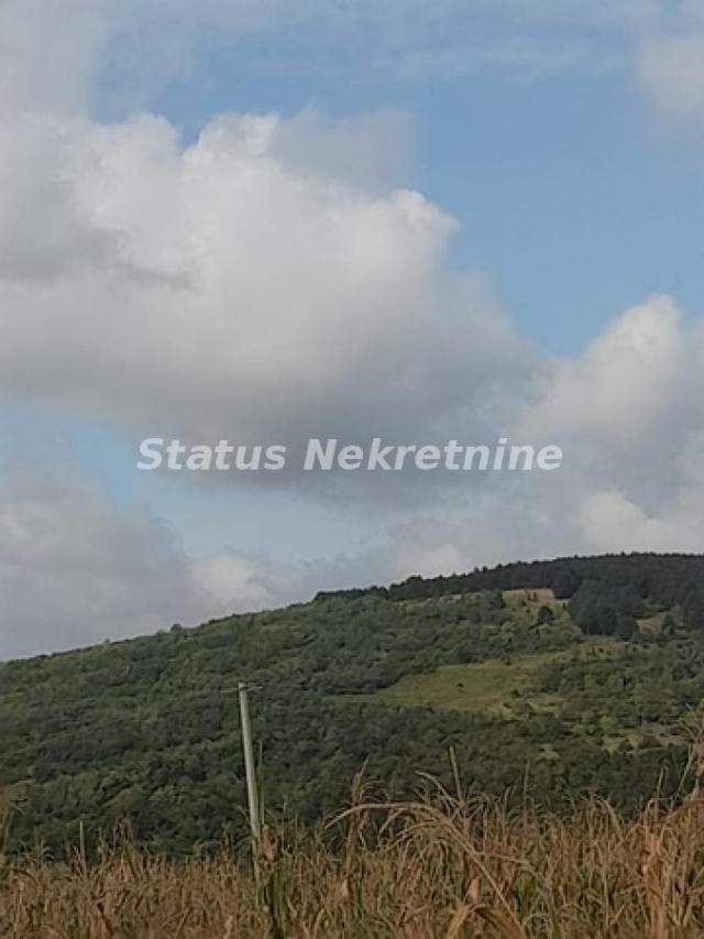 Vrdnik-Jazak-Velika Parcela 10800 m2 za kupce sa Posebnim stilom života sa Pogledom na pola Srema-06