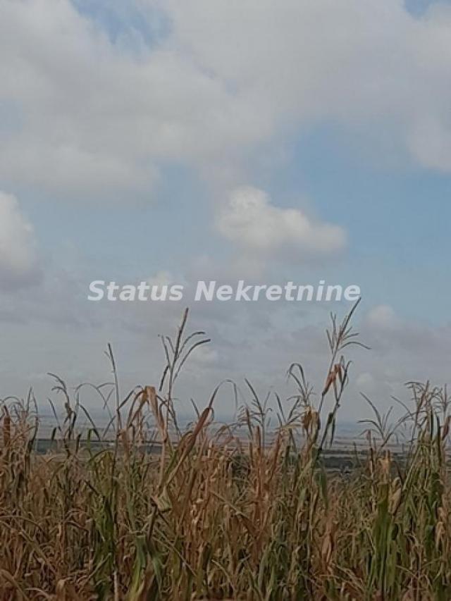 Vrdnik-Jazak-Velika Parcela 10800 m2 za kupce sa Posebnim stilom života sa Pogledom na pola Srema-06