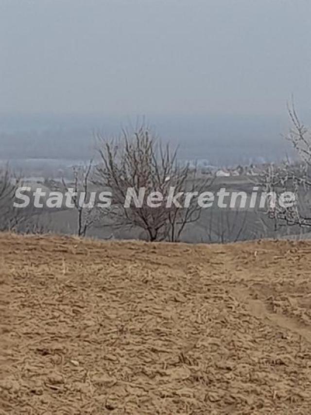 Petrovaradin-Veliki Građevinski Plac 3625 m2 na Platou Vezirca-065/385 8880