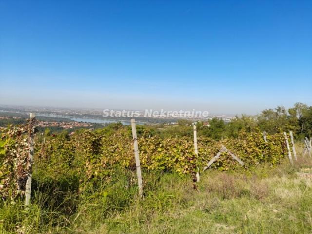 Ledinci - Fantastičan plac sa panoramskim pogledom