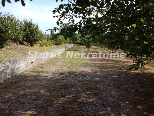 Čardak-Glavica-Vasionsko imanje u Rajskoj Bašti sa rustičnim sadržajima-065/385 8880