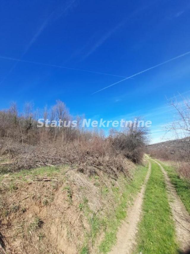 Sremski Karlovci-Fantastičan osunčan plac 7025 m2 za Vinograd i sa pogledom-065/385 8880