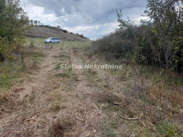 Krušedol-Plac 3780 m2 u blizini naselja-065/385 8880